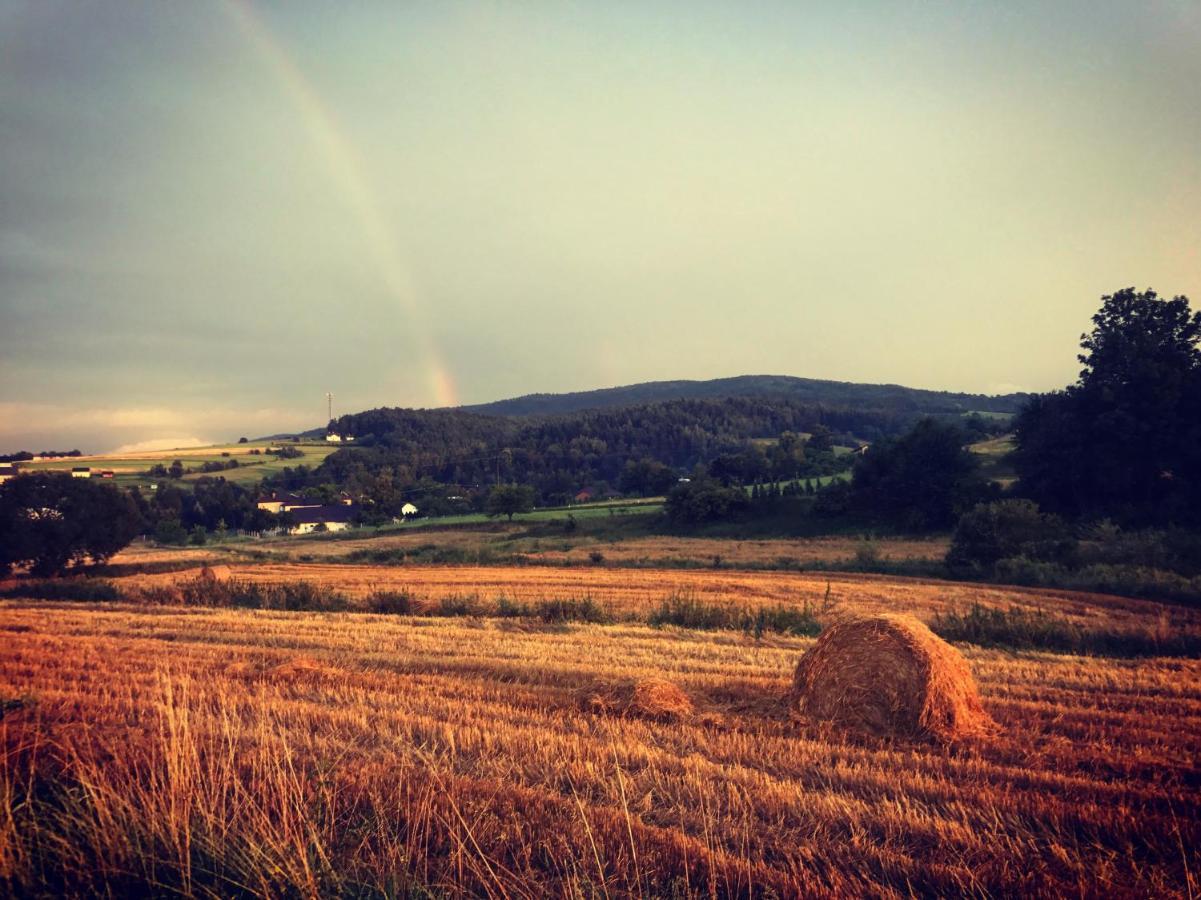 Leona * Gorlice